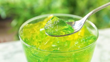 Gelatin Market 2026: Key Trends Every Food Manufacturer Should Know