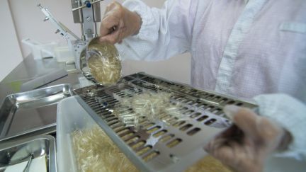 GMP in Pharmaceutical Gelatin Production: Standards That Protect Your Product