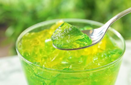 Gelatin Market 2026: Key Trends Every Food Manufacturer Should Know