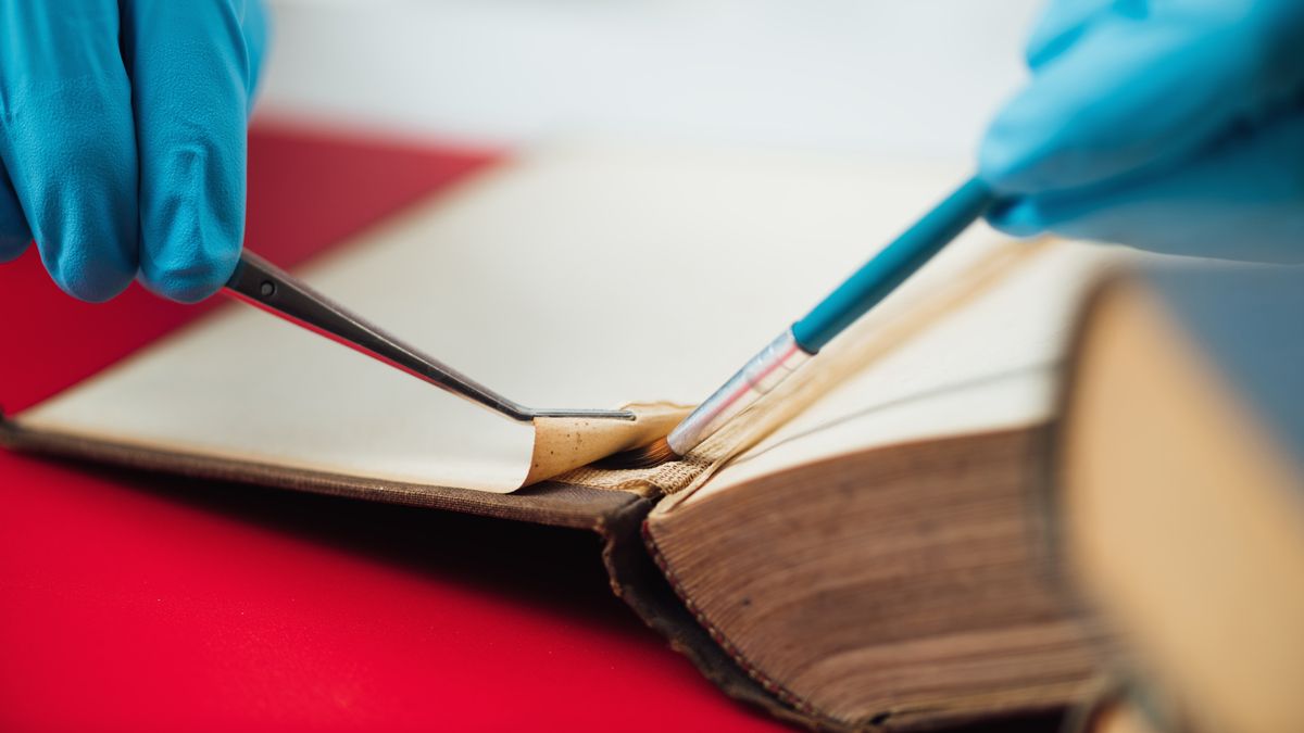 Gelatin Glue | A Natural Solution for Durable Bonds